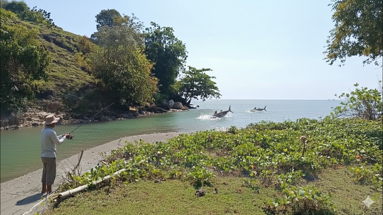 Exploring an Uninhabited Island | Wild Fishing Adventure