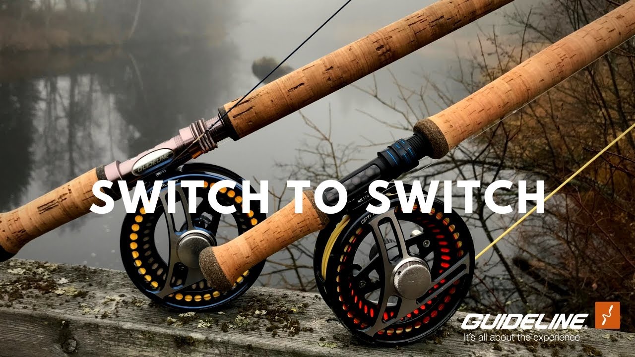 Switch to Switch
