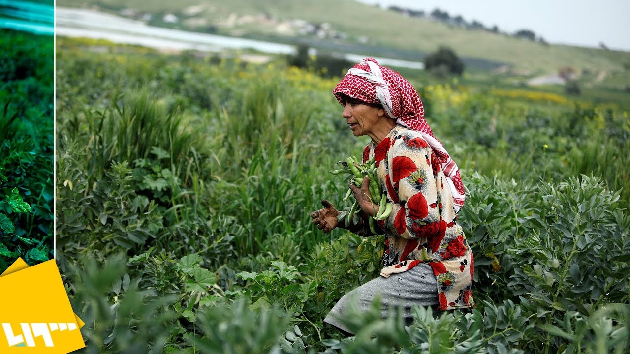 أين تقع منطقة الأغوار، وما أهميتها؟