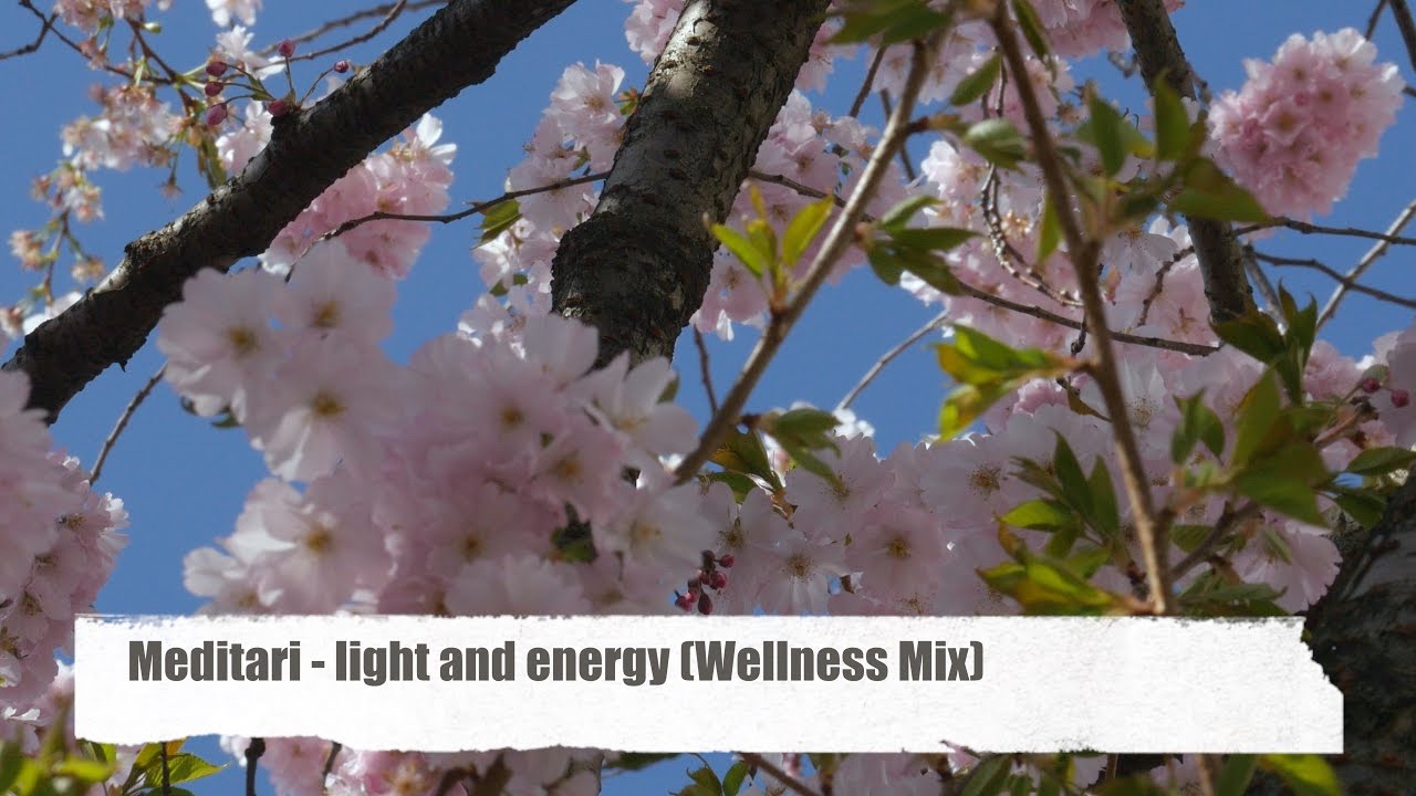 Meditari - Light And Energy (Wellness Mix) Cherry blossoms time (Kirschbl&uuml;ten) Bonn 2017 (4K Video)