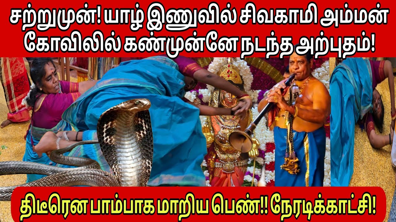 🔴சற்றுமுன்! கண்முன்னே நடந்த அற்புதம்! திடீரென்று பாம்பாக மாறி நடன ஆடிய பெண்! பரபரப்பான நேரடிக்காட்சி