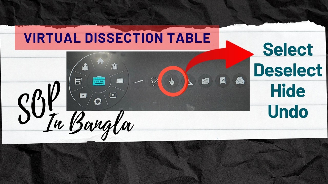 SOP- Select- Deselect- Hide- Undo in Virtual Dissection Table II Anatomy simulator