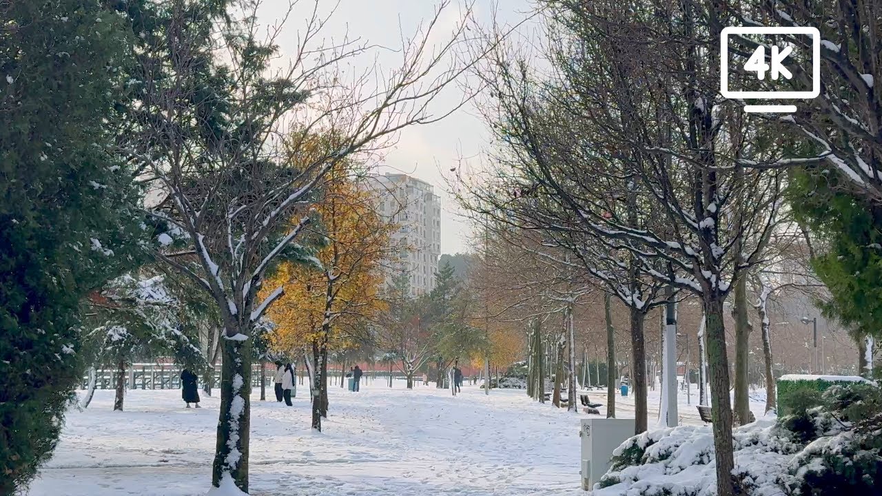 İstanbul'da Kar Manzaraları: Küçükçekmece | Snowy Istanbul Lake Walk 4K