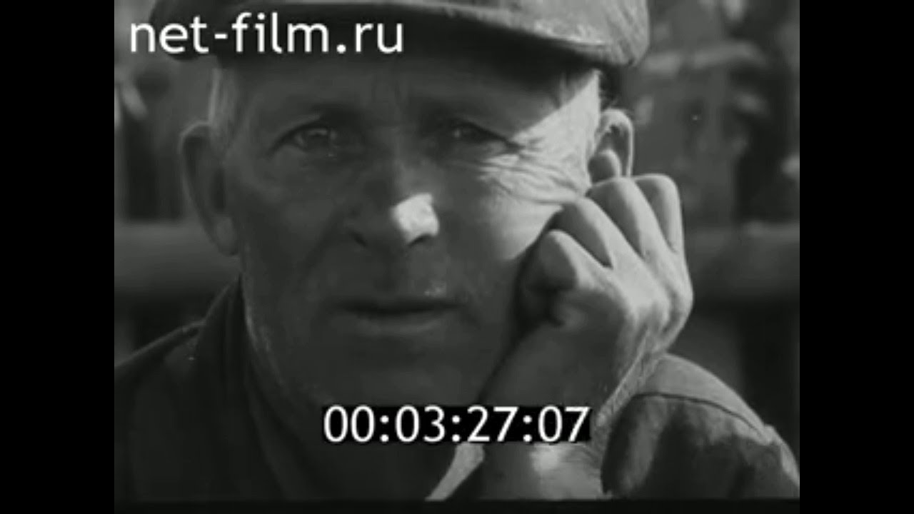 1971г. совхоз Брасовский. Брасовский район Брянская обл