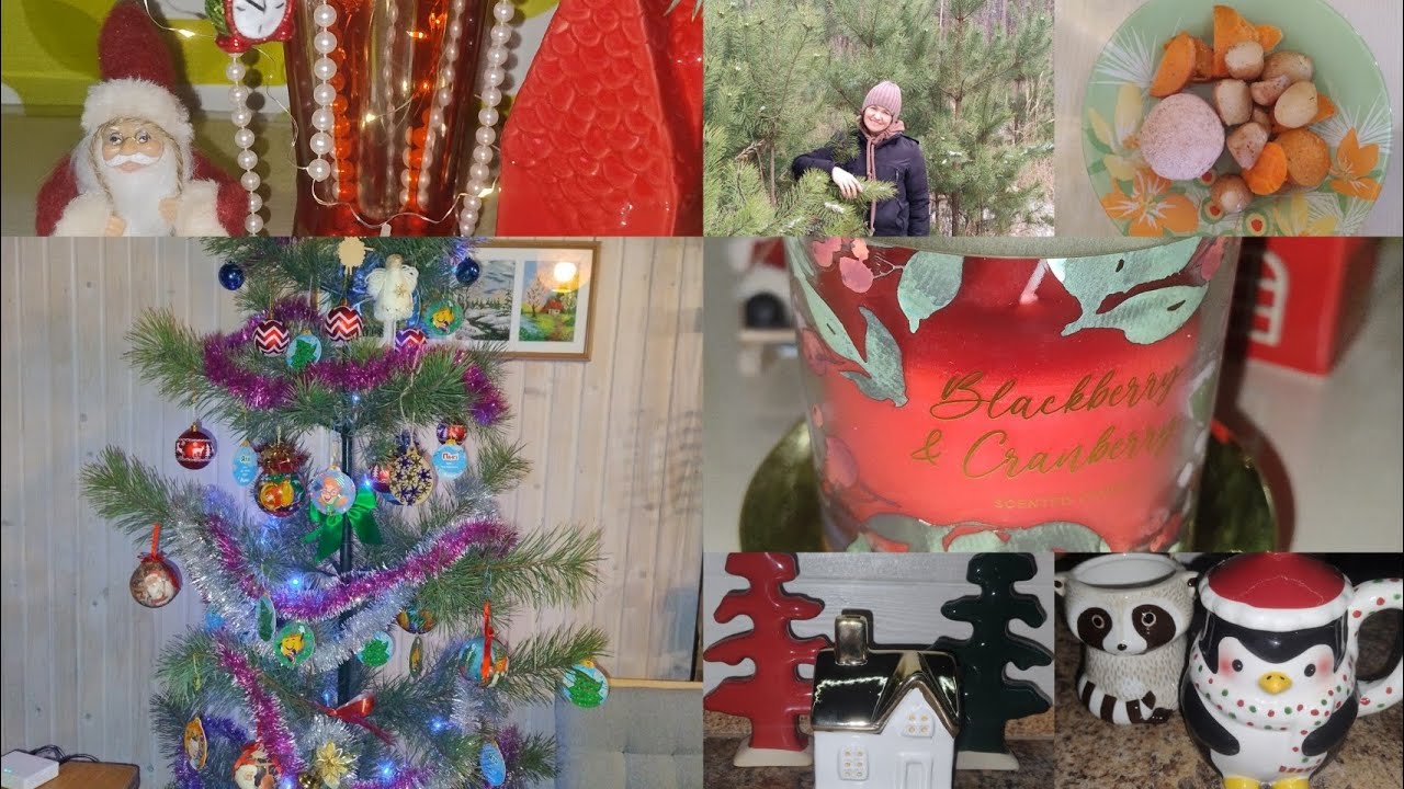 Ялинка на дачі🌲❤️. Фаршировані котлети👍Посилка із Sinsay 😉
