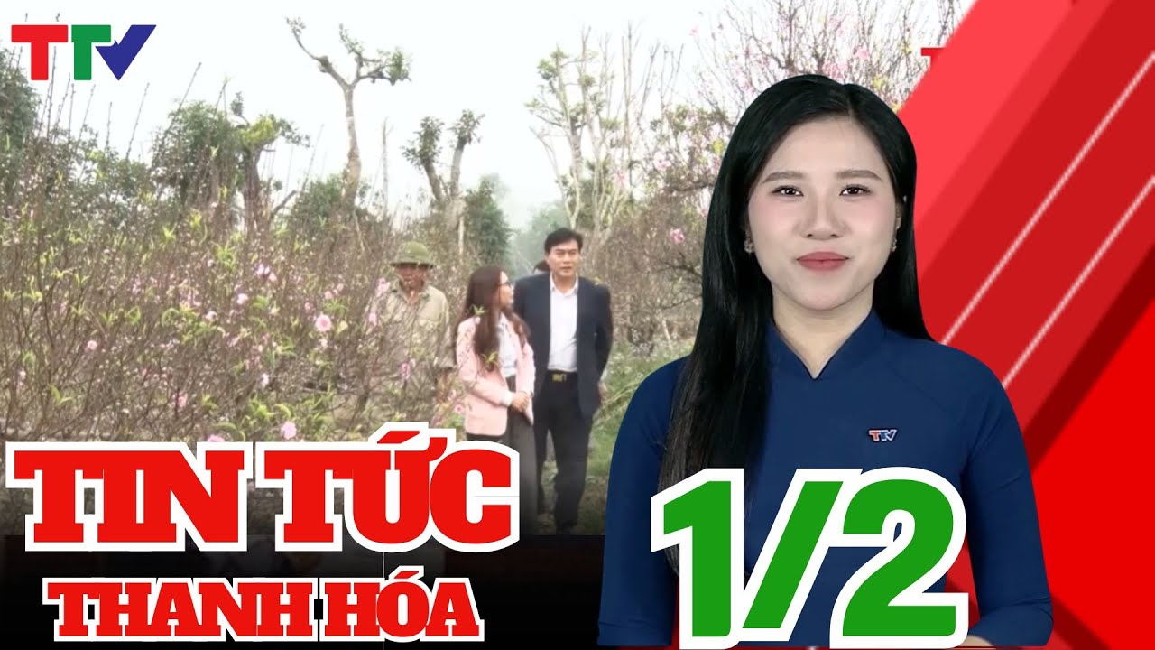 Nhộn nhịp làng trồng đào, quất ngày giáp Tết