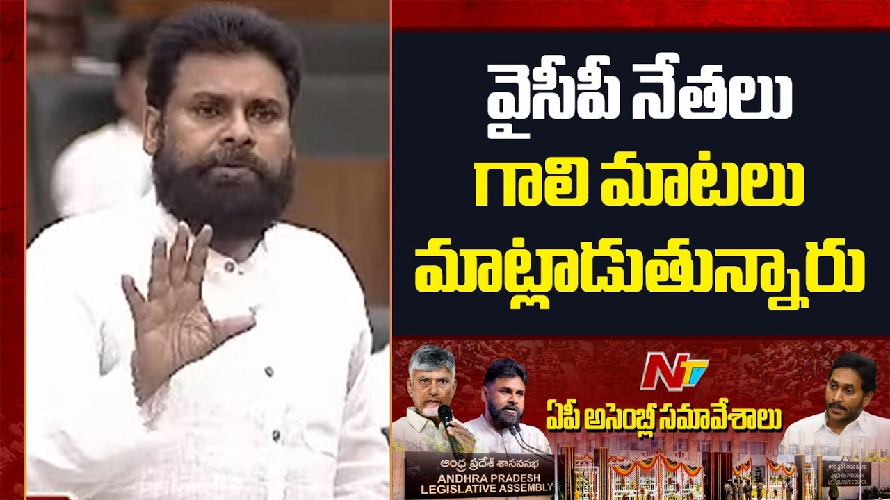 తప్పు జరిగిందని ఒప్పుకుంటే ఇంత చర్చఅవసరం లేదు |Pawan Kalyan comments on YCP Leaders |TTD Laddu | NTV