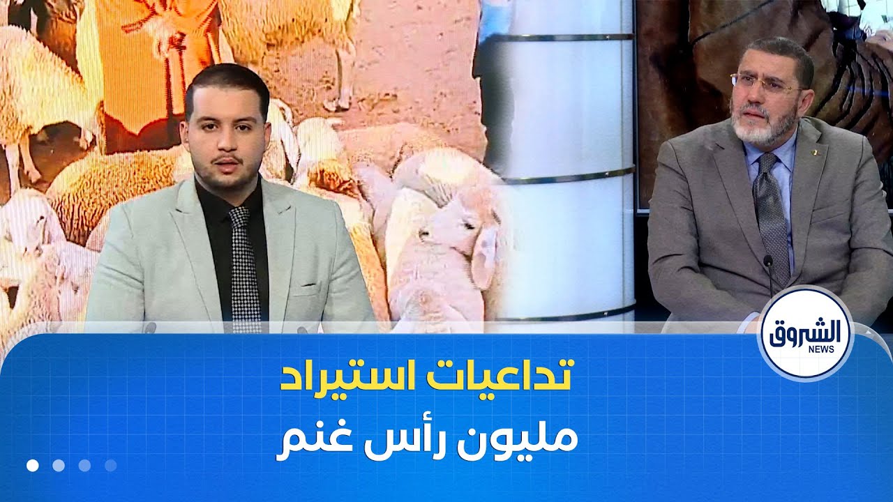 المحلية|  استيراد مليون رأس من الغنم.. تداعيات على أسواق المواشي واللحوم