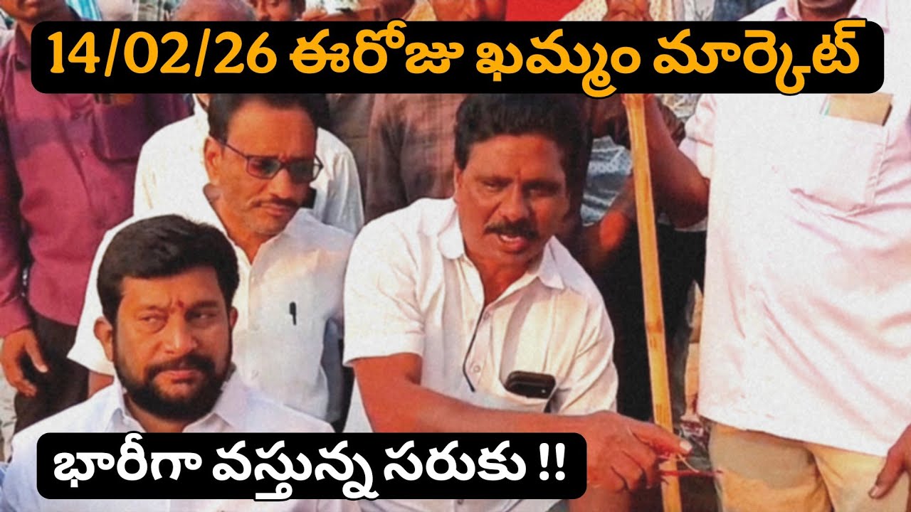 February 14, 2026 Today #khammam market yard prices ఖమ్మం మార్కెట్ యార్డ్ ధరలు #mirchi #chili 