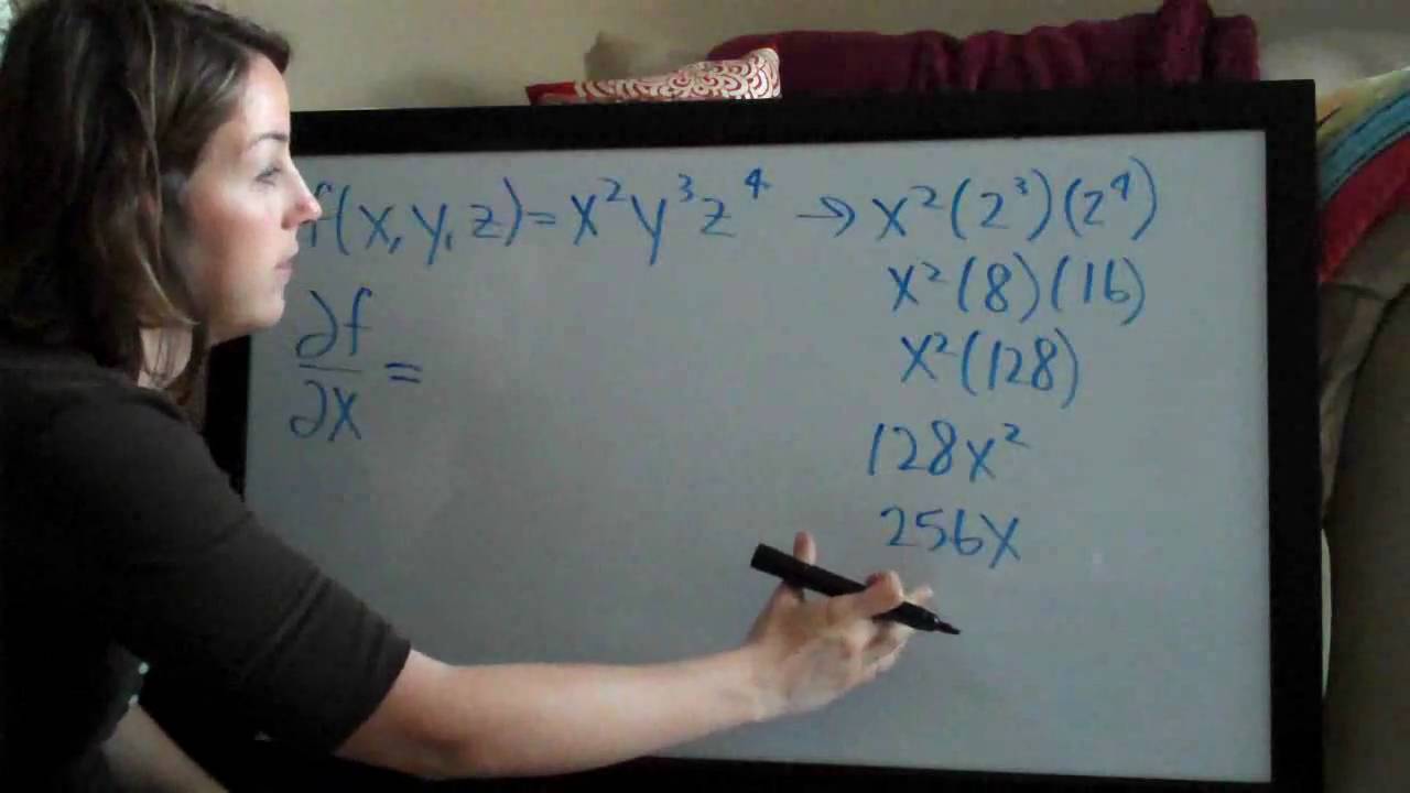Partial Derivatives (KristaKingMath)