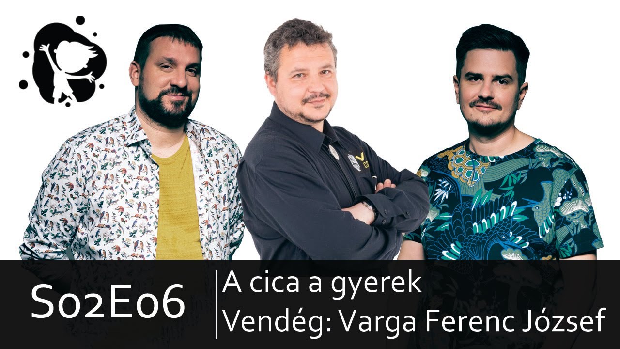 Saras tócsákban ugrálni - Varga Ferenc József - A cica a gyerek