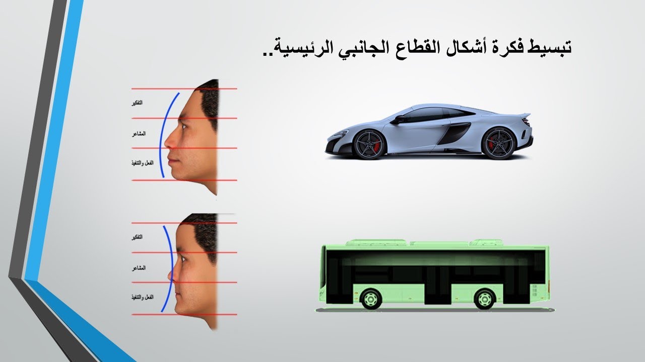 12 القطاع الجانبي للوجه | تعلم الفراسة و قراءة الوجه