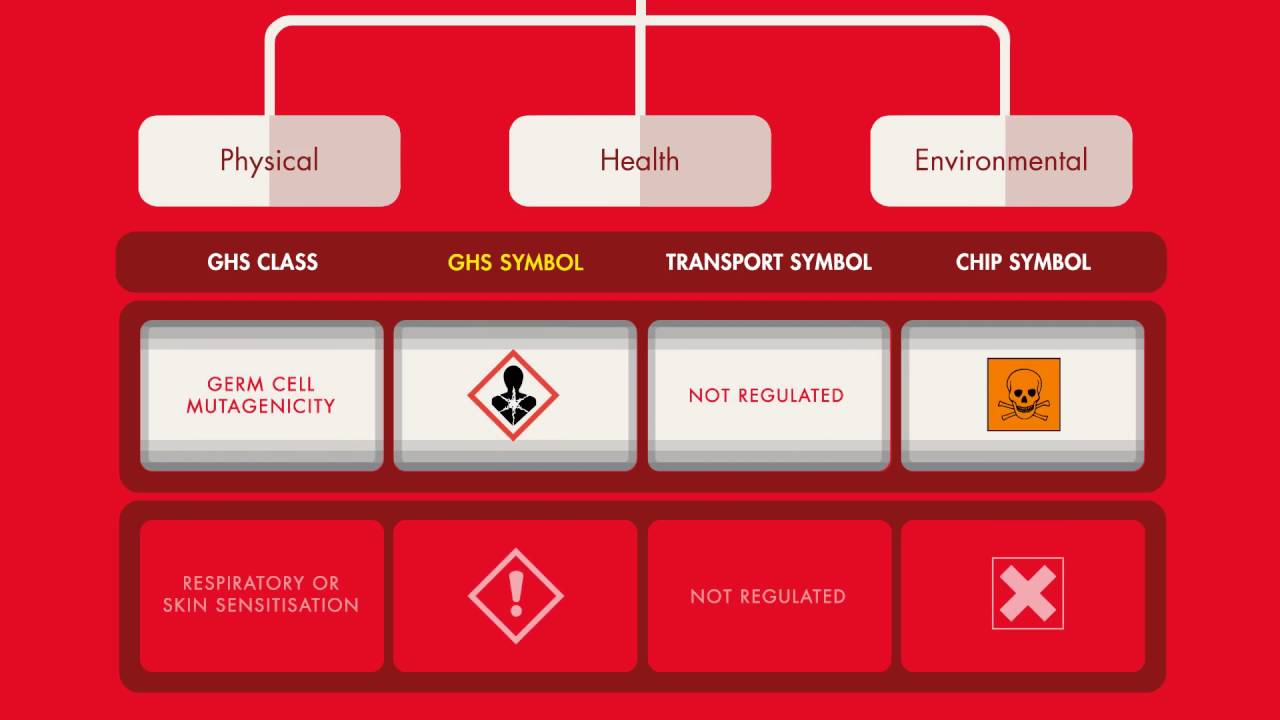 United Nations Globally Harmonised System of Classification and Labelling of Chemicals