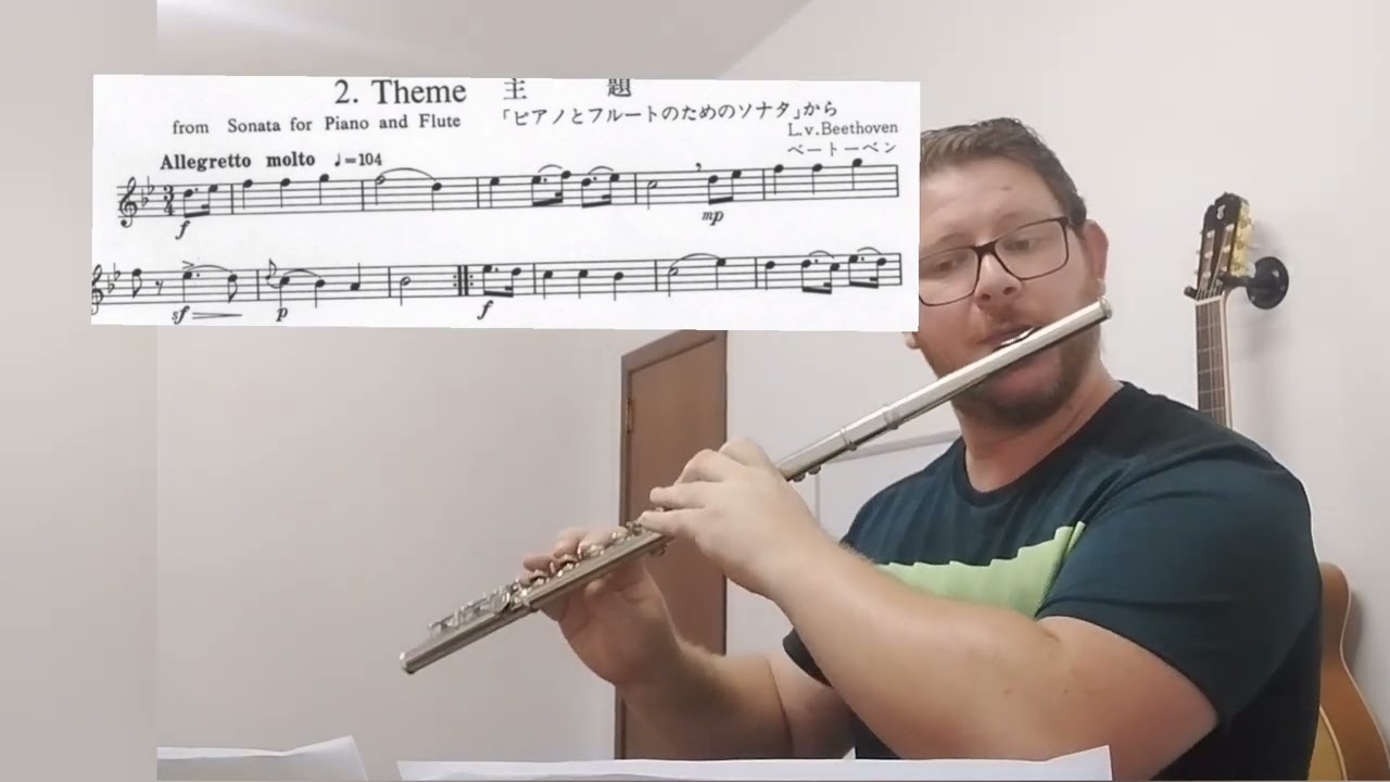 Theme from Sonata for Piano and Flute, Beethoven. Suzuki Flute Book 2.