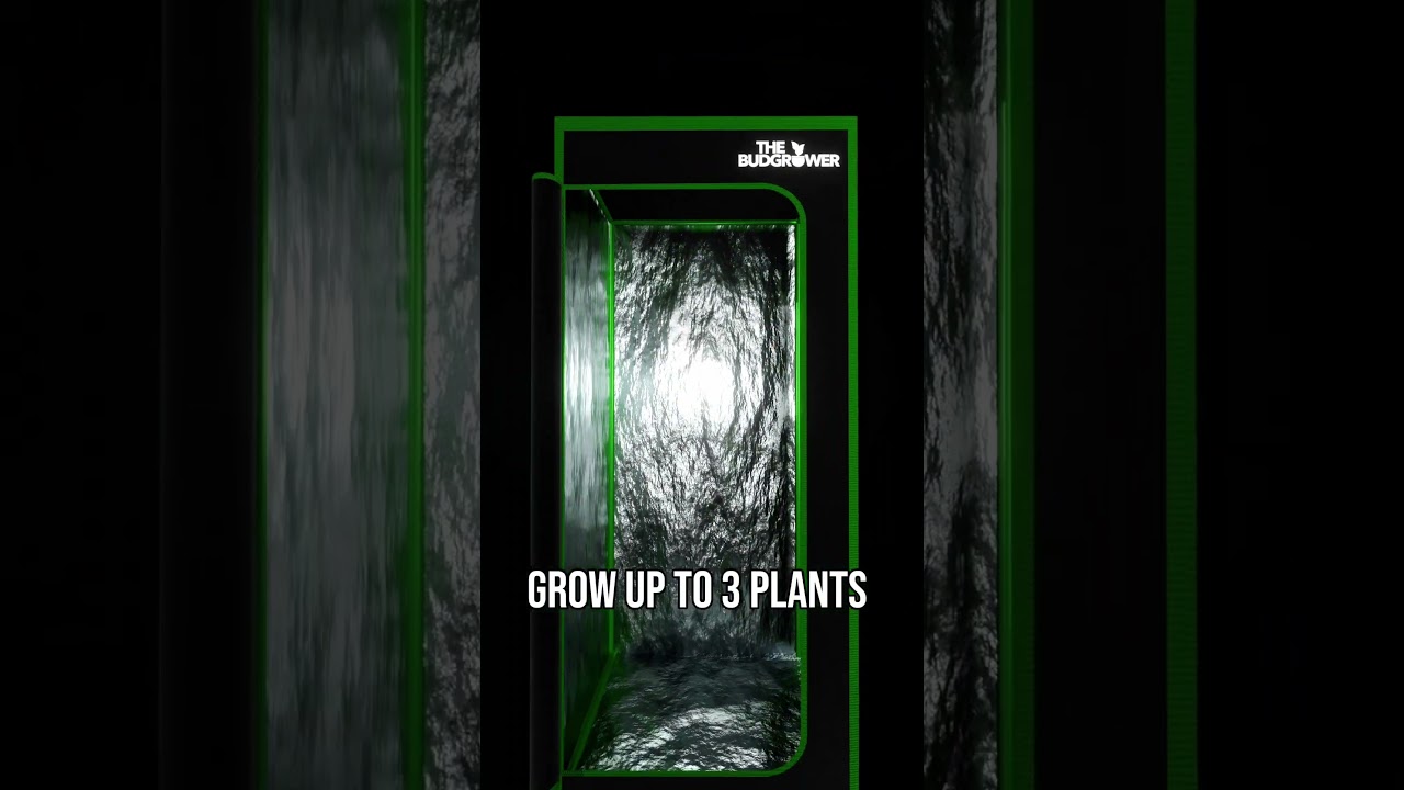 The BEST Cannabis Home-Grow Kit #hydroponics #420 #homegrown