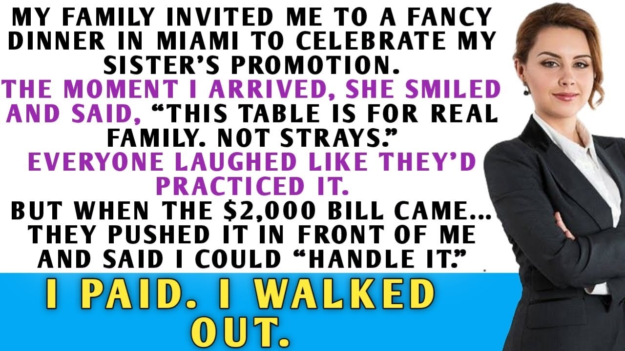 They Called Me a Stray… Then Made Me Pay $2,000