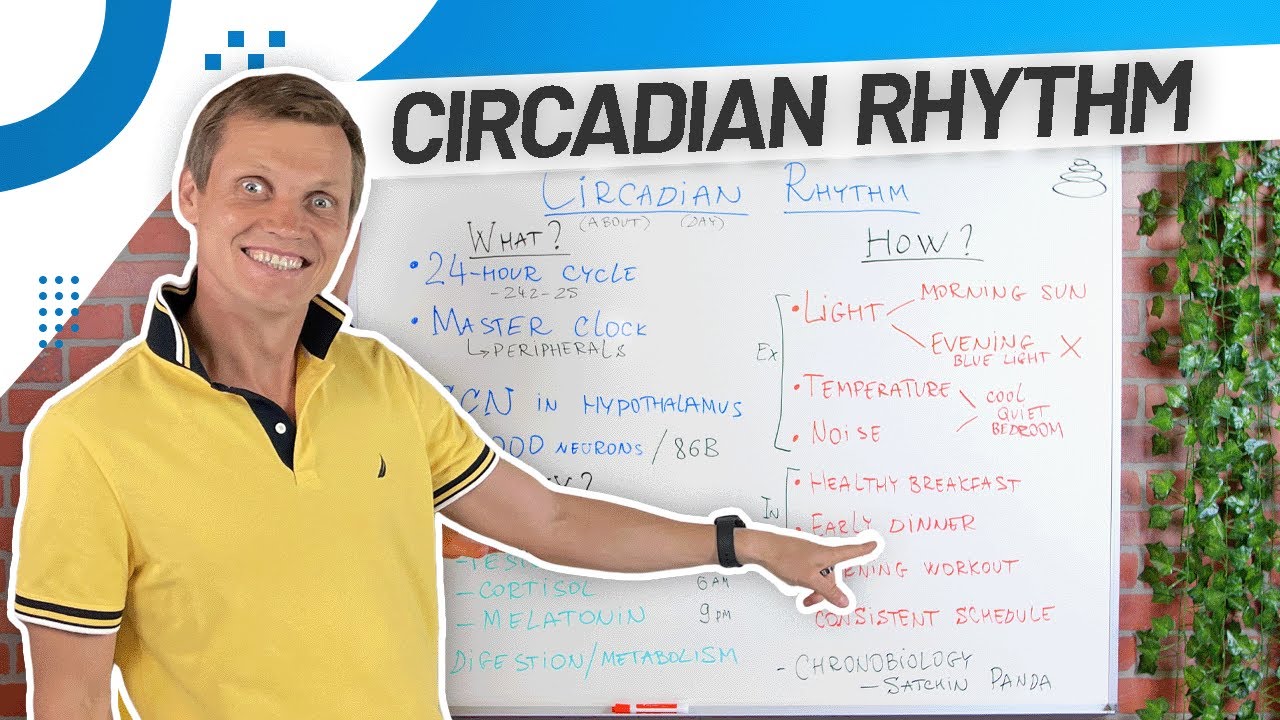 How to Reset Your Circadian Rhythm – 6 Practical Tips for Better Sleep
