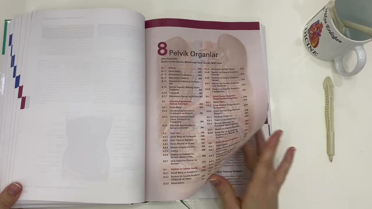 Sobotta Anatomi Konu Kitabı
