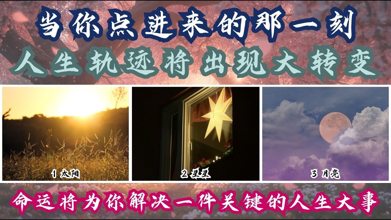 接下来，命运将为你解决一件关键的人生问题（不是巧合）｜你的人生问题即将迎来答案（Timeless）