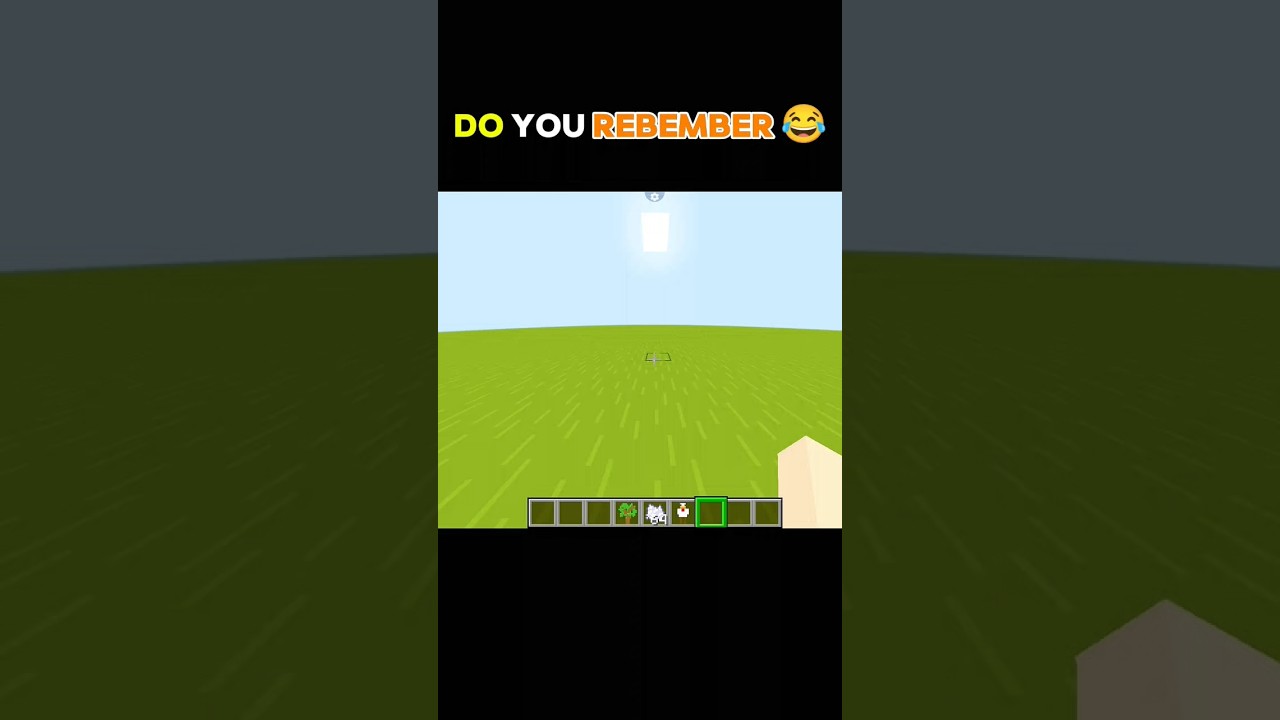 Do You Rebember 😂 #minecraft