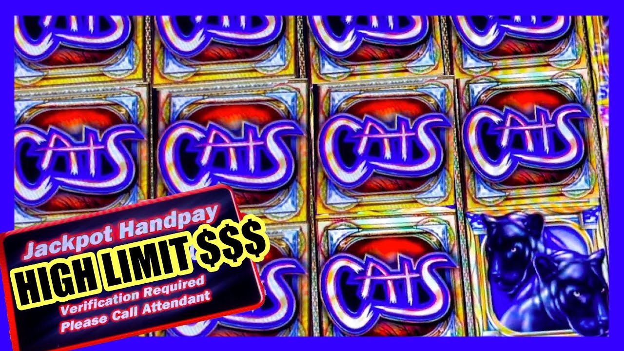 HUGE BETS ON CATS HIGH LIMIT - I GOT SO MANY FREE GAMES AND ' ' HUGE JACKPOTS