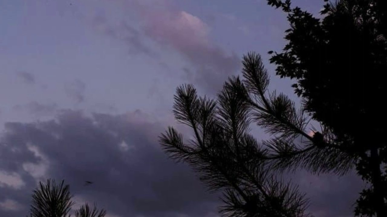 radiohead – fake plastic trees // slowed & reverb