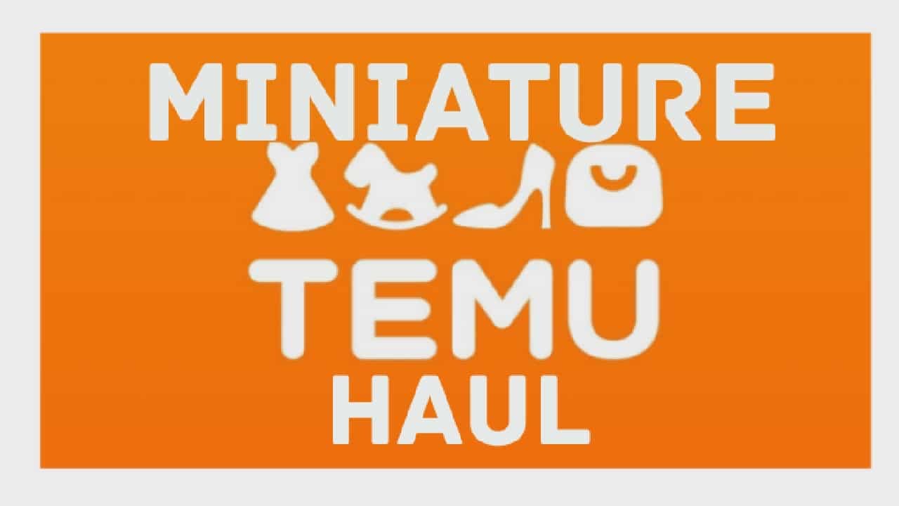 Миниатюрный TEMU Haul