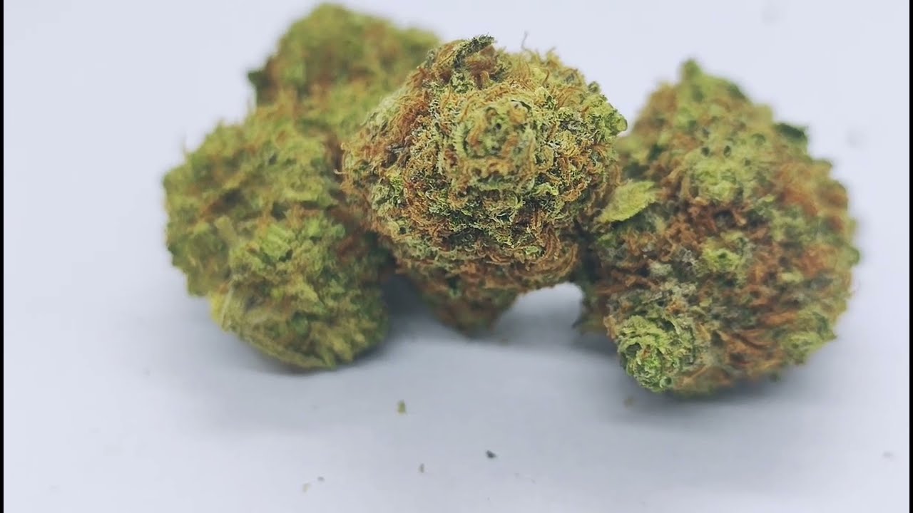 Fleurs CBD Sunset Sherbet - La Verte Feuille