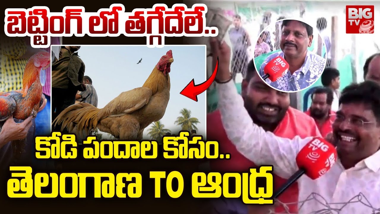 బెట్టింగ్ లో తగ్గేదేలే..| West Godavari Dist | Kodi Pandalu | BIGTV