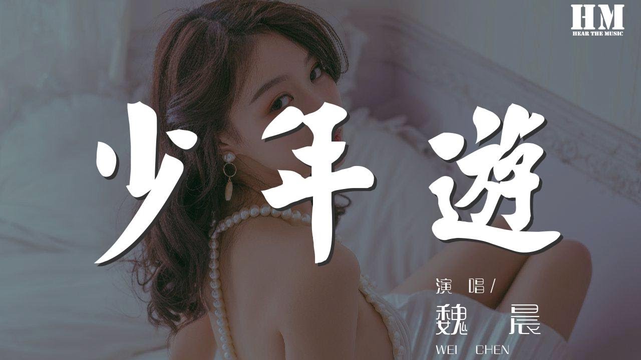 魏晨 - 少年游『待字闺中谁家小姐』【動態歌詞Lyrics】