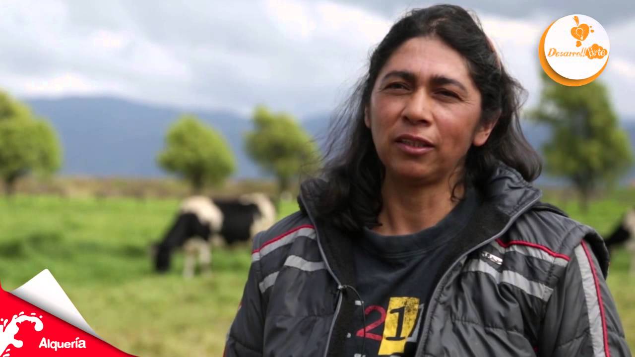 Alqueria el Arte de vivir