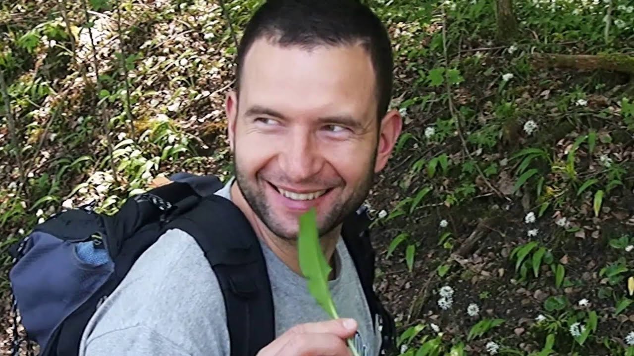 Meškinis česnakas žydi