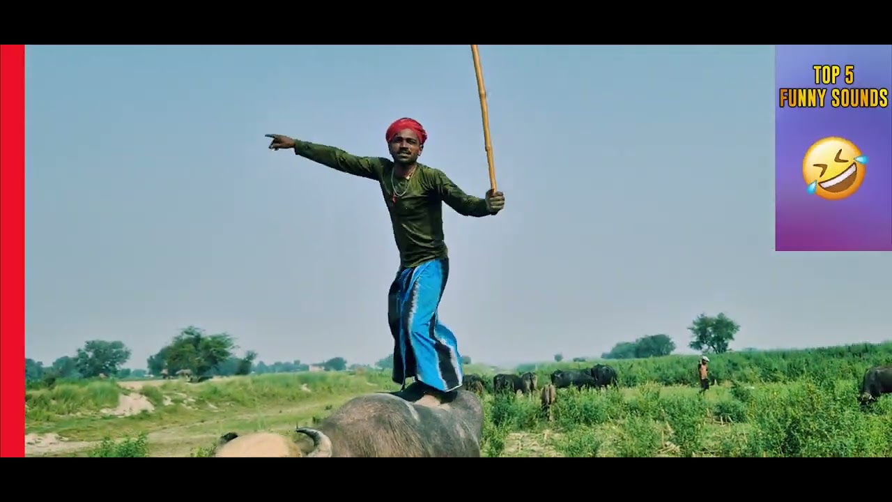 Comedy majeedhar video, apollo nayak, danish, karib jain phone, viral chandan kumar because bikas 