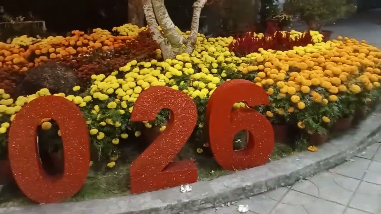 22 tháng 2, 2026