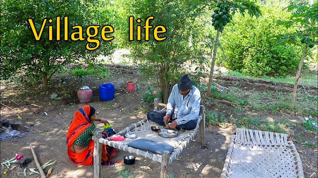 Village life In Gujarat India 2020 || Village life