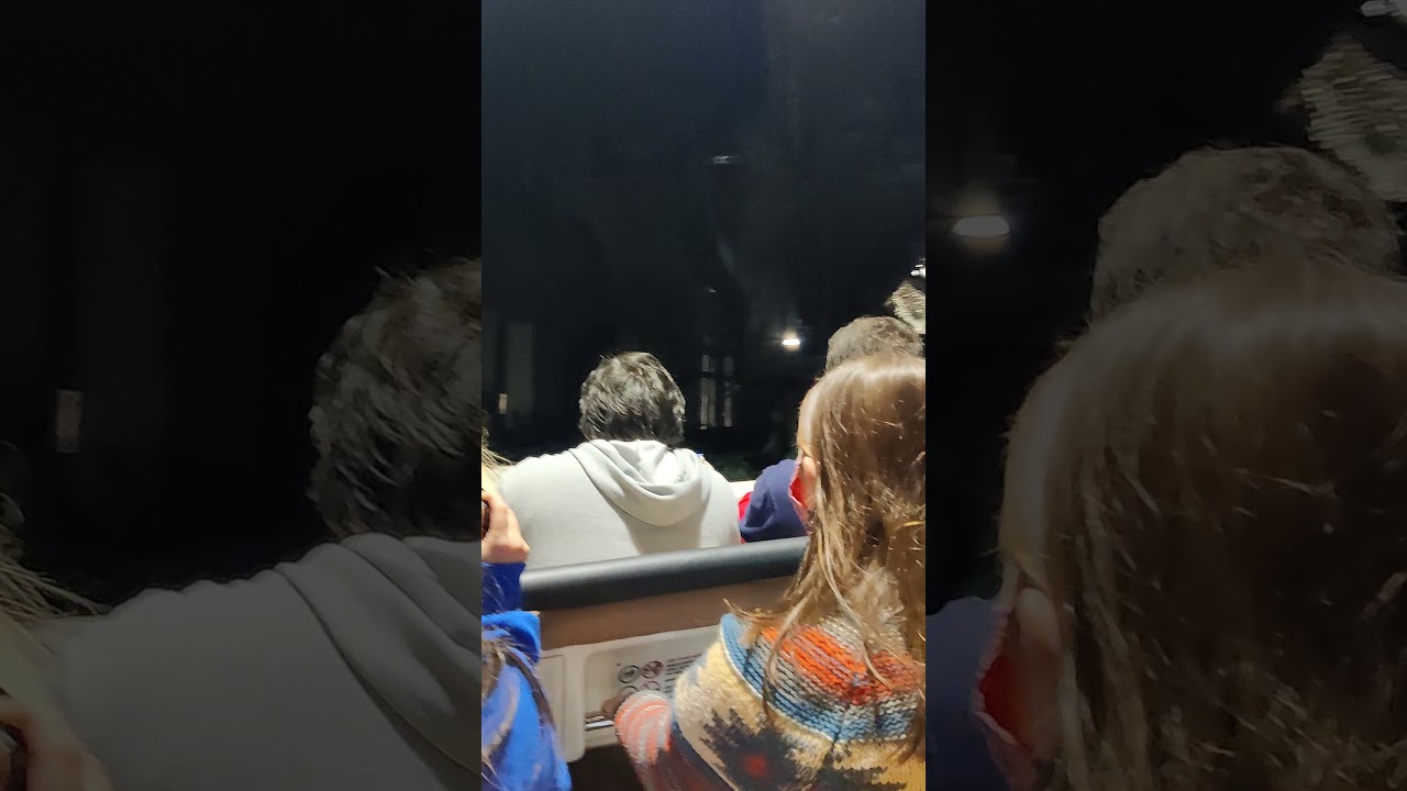 Dinosaur Animal Kingdom POV- Lights On!