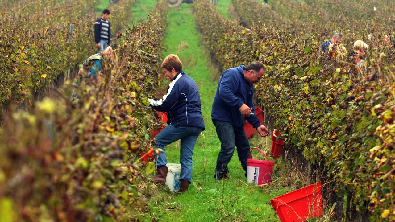 Plodovi zemlje, 14. rujna 2025.