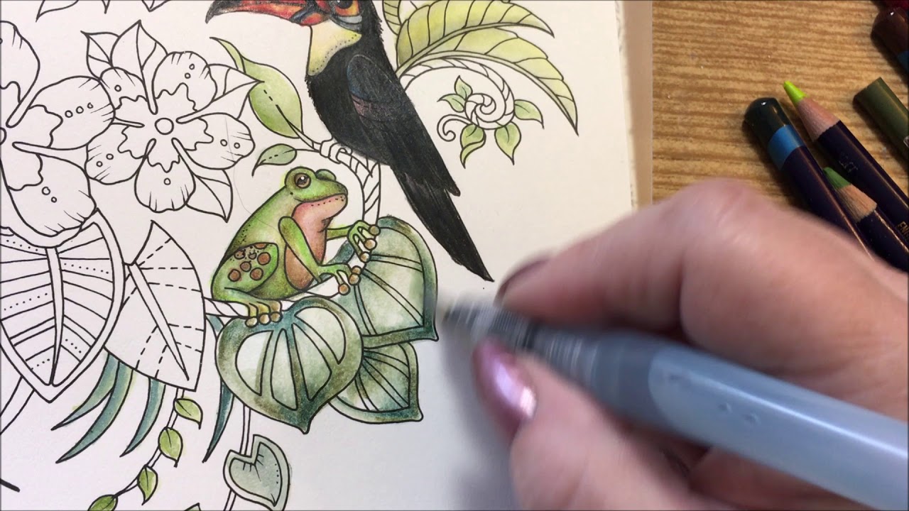 Inktense  Magical Jungle part 2