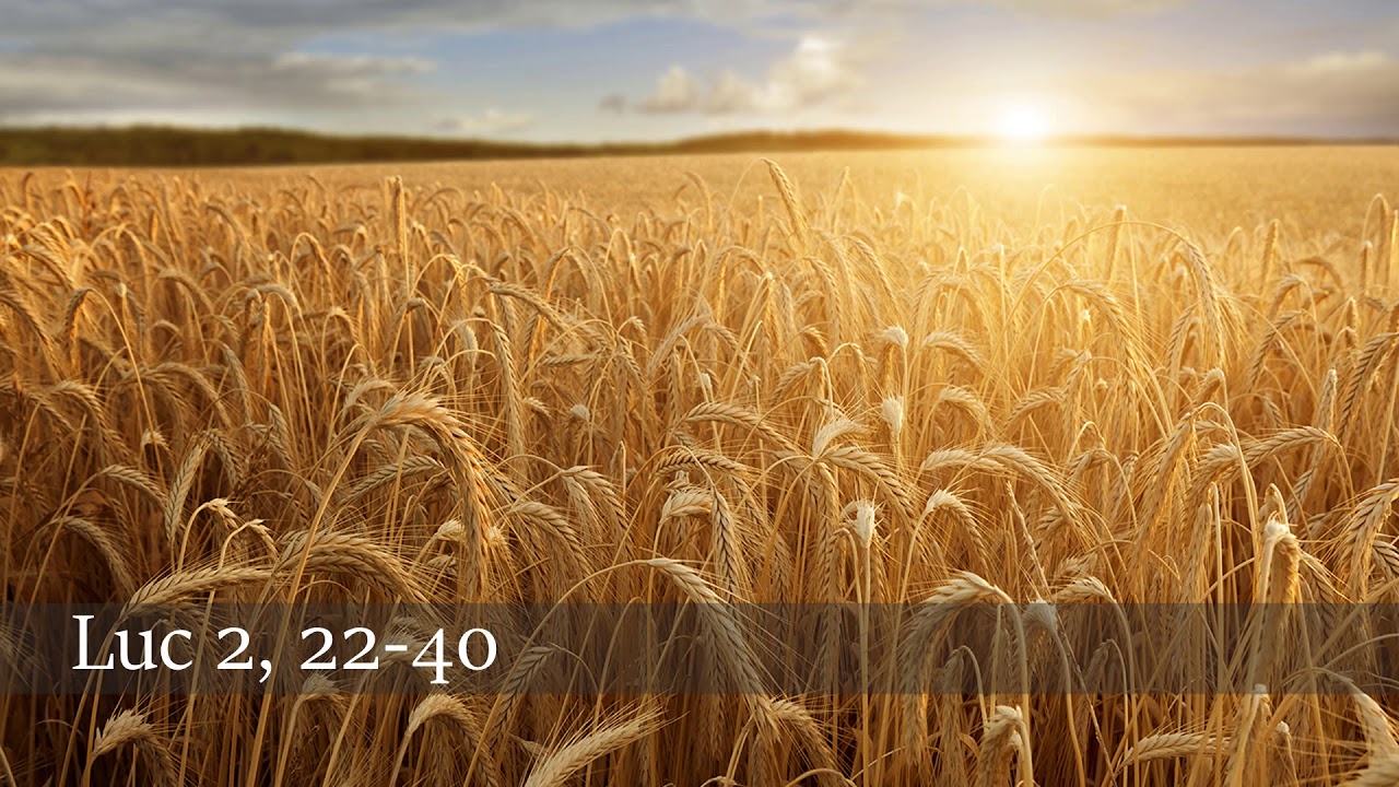 &Eacute;vangile du jour : &Eacute;vangile selon Saint-Luc - Lc 2, 22-40
