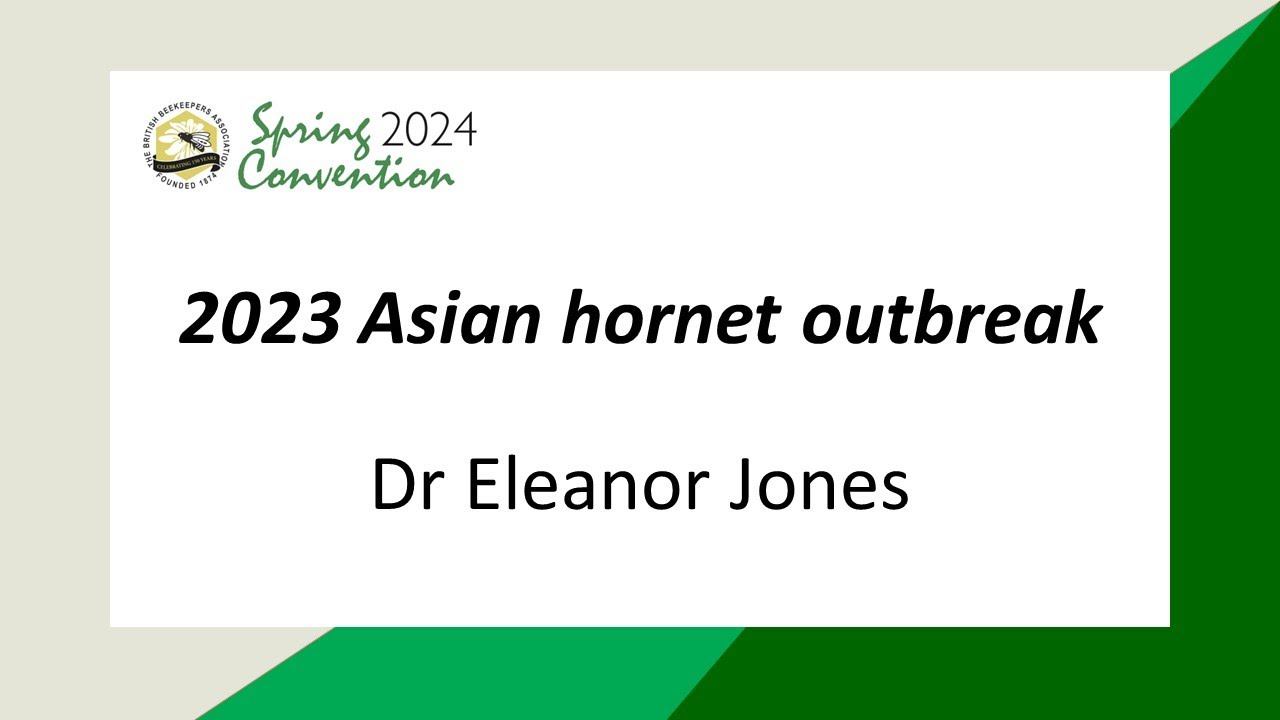 Dr Eleanor Jones: 2023 Asian hornet outbreak.