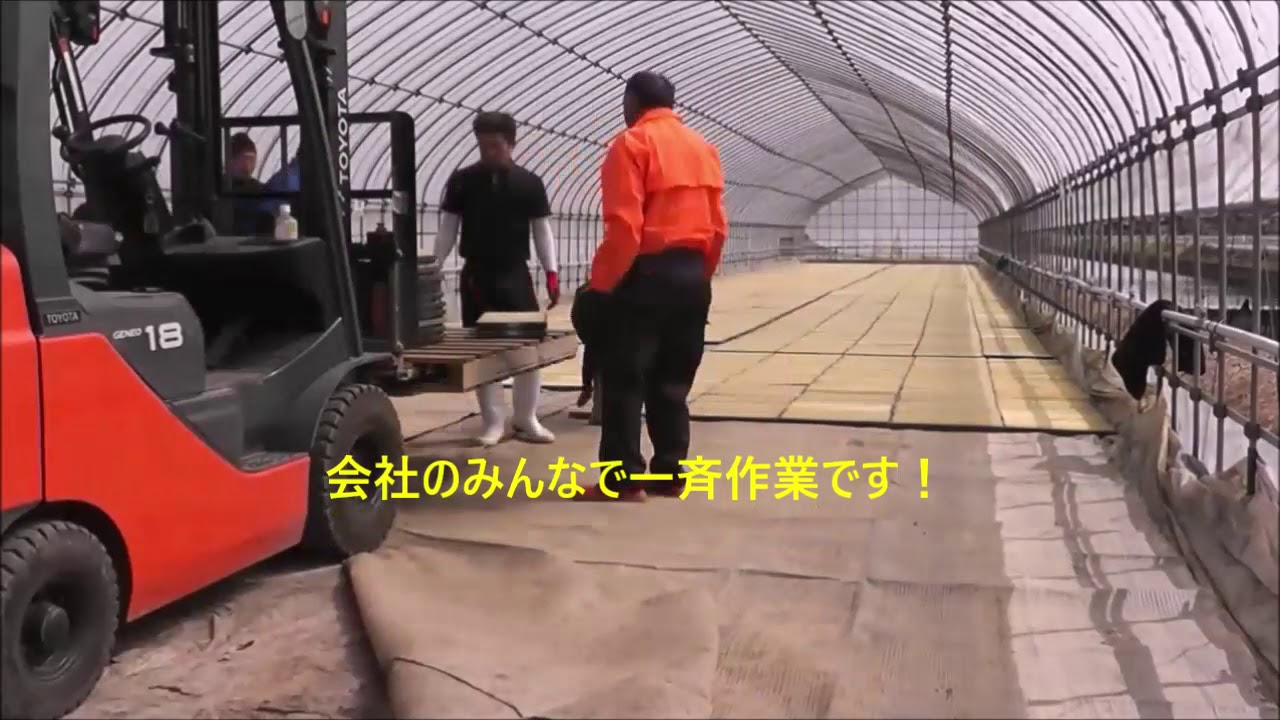 【農工舎2019】育苗ハウスへの苗出し作業風景