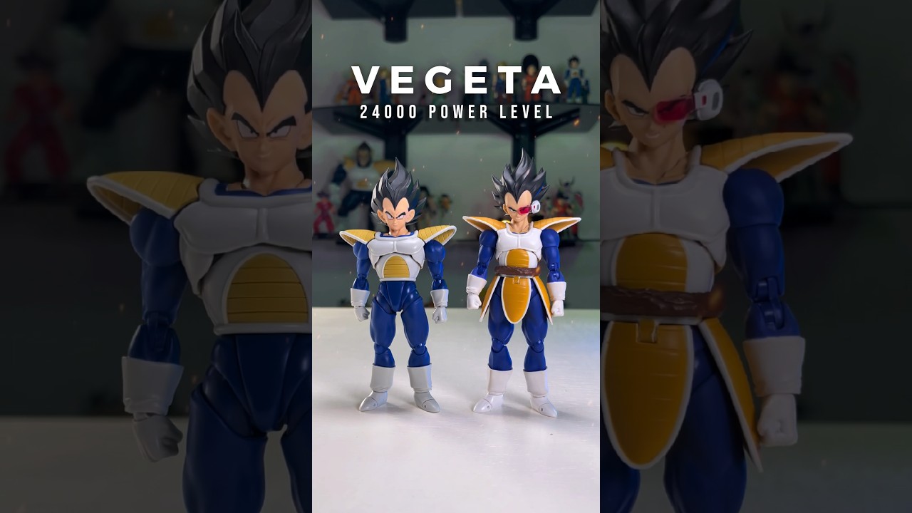 Vegeta 24,000 Power Level, comparativa de tama&ntilde;os. #shfiguarts #vegeta #comparativa
