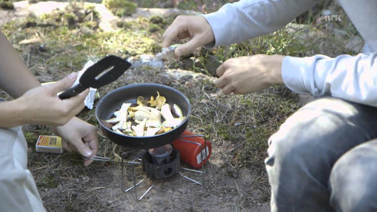 Sopp på 1-2-3: Etterbehandling