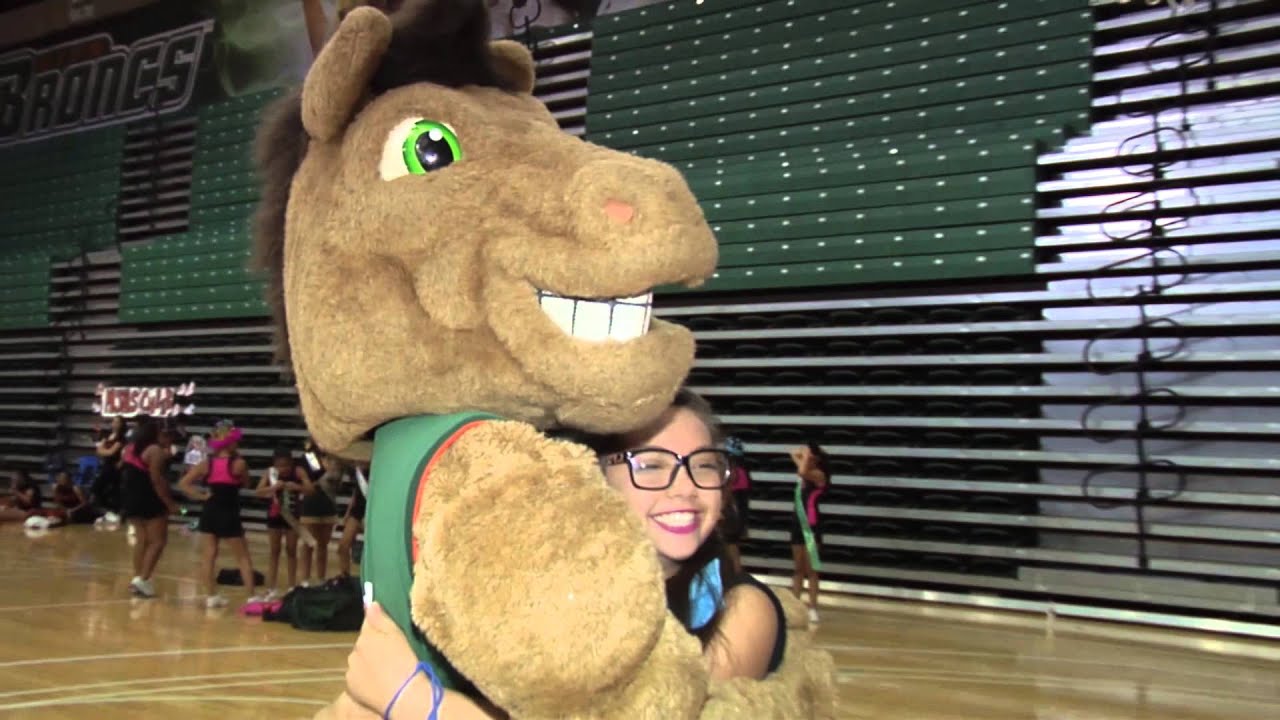 I become a mascot for my story
