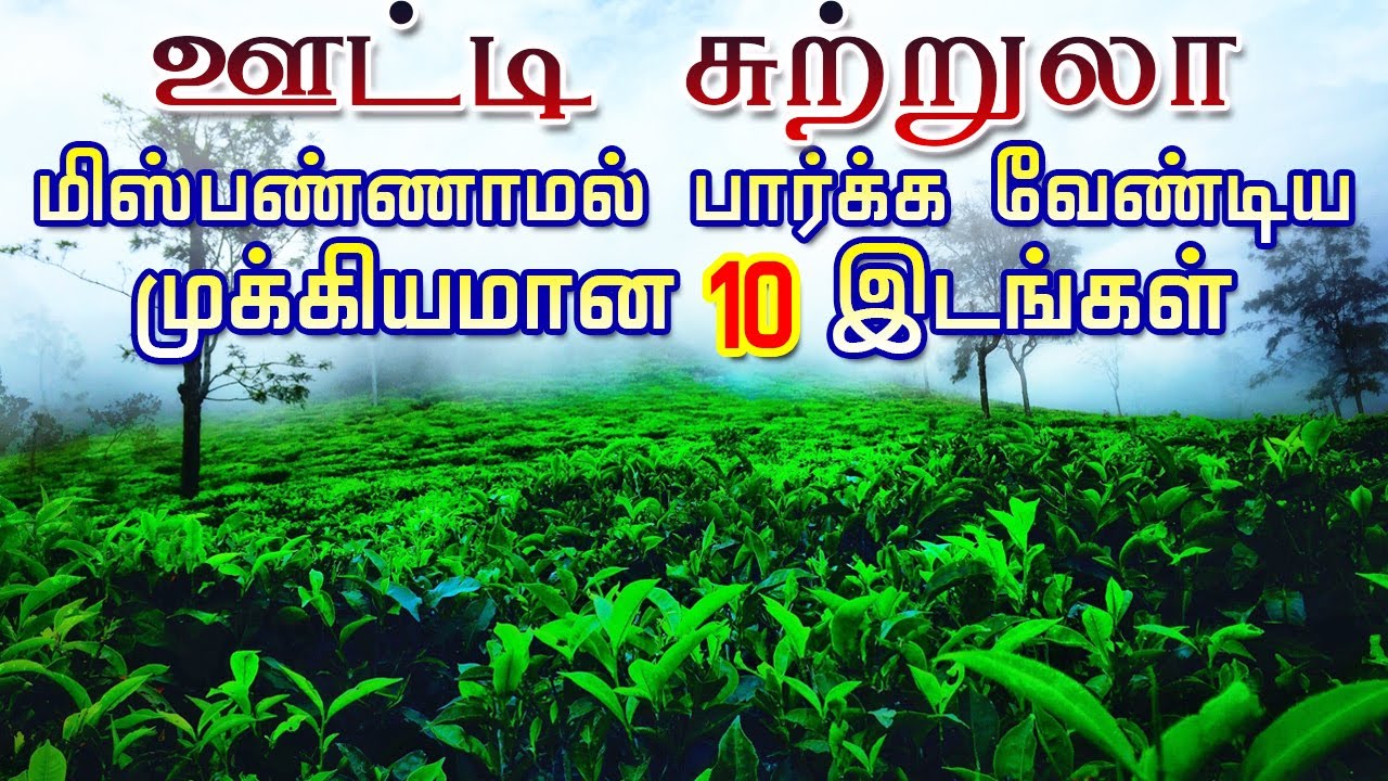 ஊட்டி சுற்றுலா || Top 10 Beautiful Places to Visit in Ooty || Ooty Tourist Places in Tamil || TTG