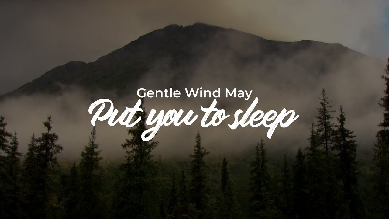 Peaceful Woodland Atmosphere - Gentle Wind and Leaves