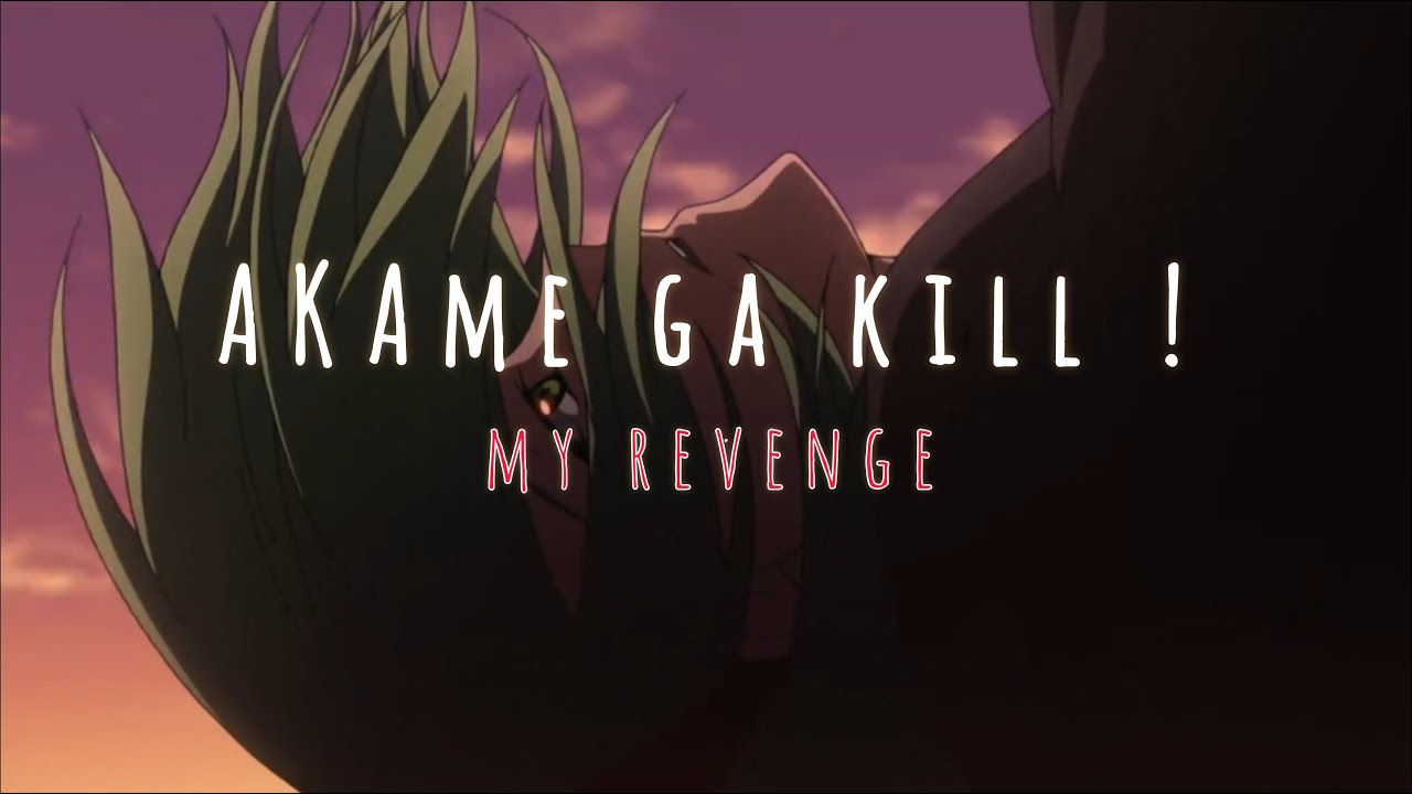 Akame ga kill ! - My revenge / Lil Happy Lil Sad - [Edit/AMV]