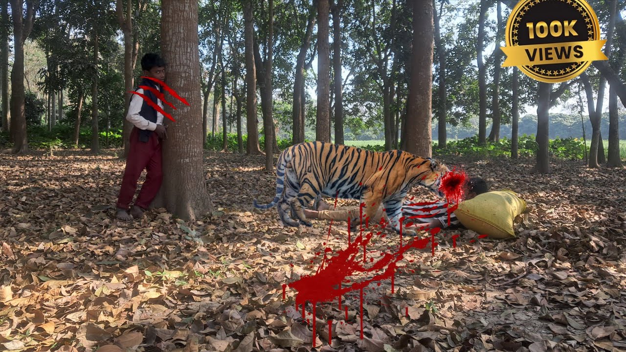 TiGeR ATTAcK viLLAGBOyinFObeSt😭