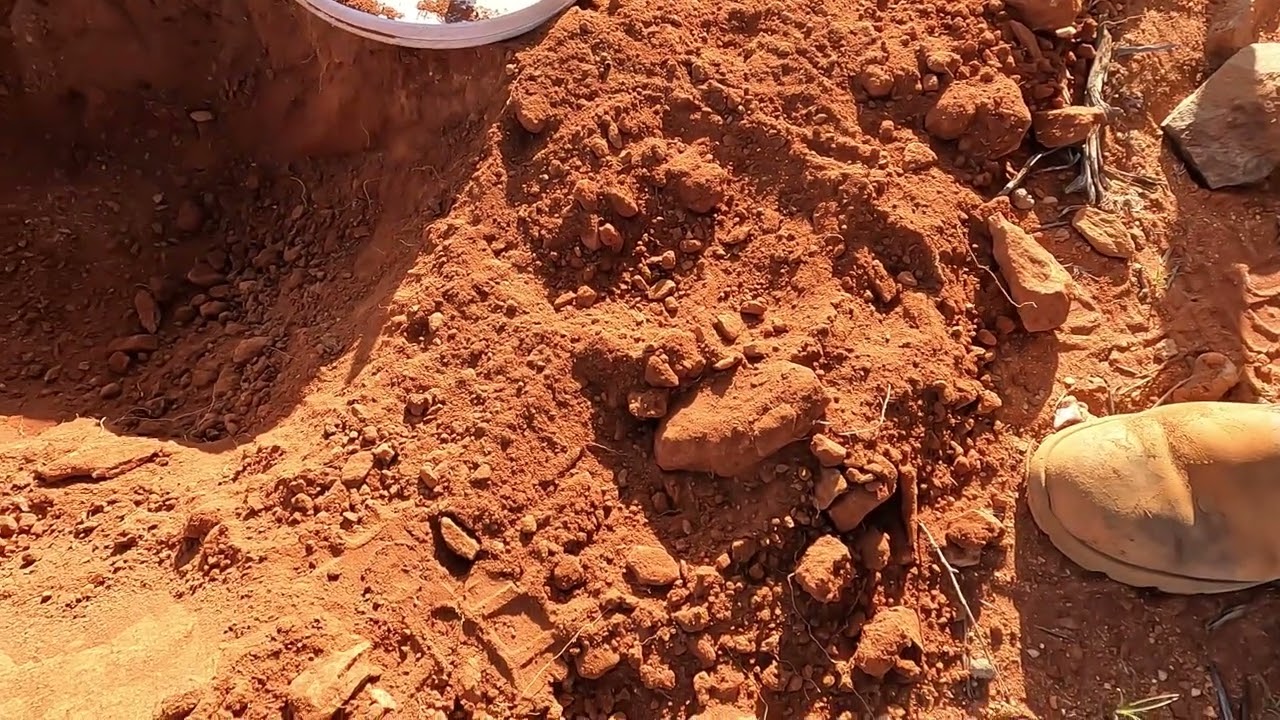 gold detecting with the GPX 6000