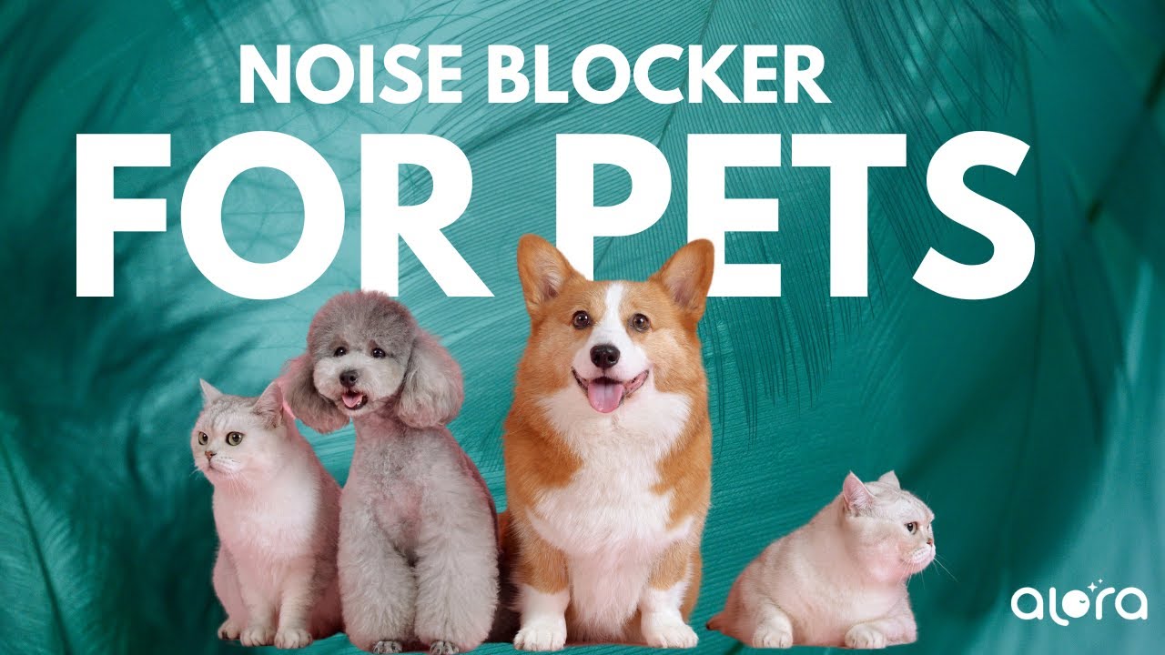 FIREWORK NOISEBLOCKER FOR PETS  8 Hours of Calm White Noise NO ADS